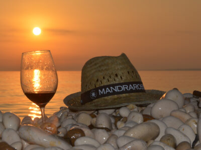 MandrarossaVineyard-Tour