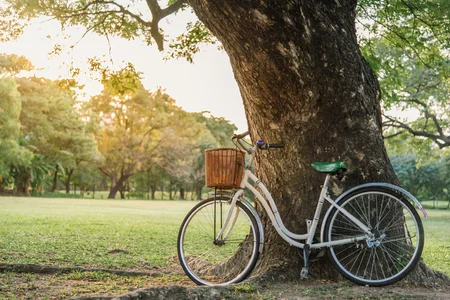 bicicletta-bianca-nel-parco-verde