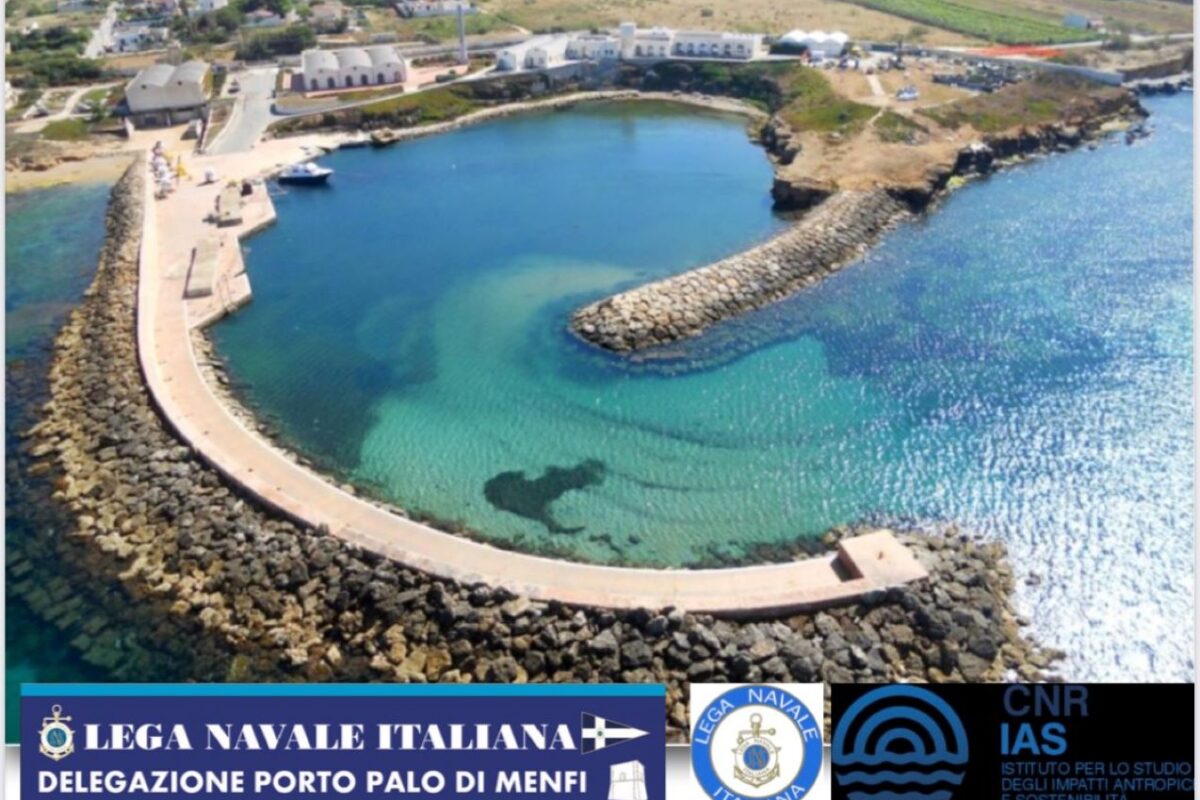 il mare e il suo ecosistema